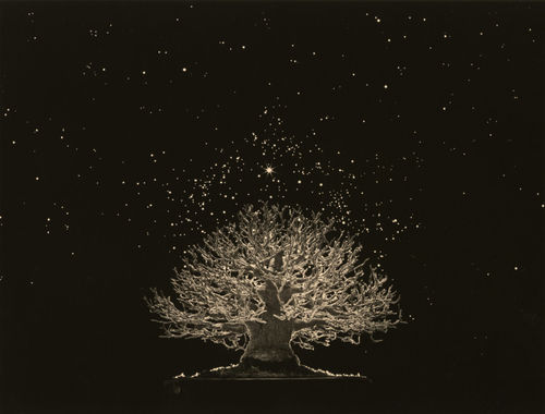 Photo Basel, Virtual Edition, 2020