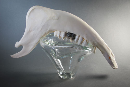 Sculpture by Debra Baxter at Form & Concept Gallery