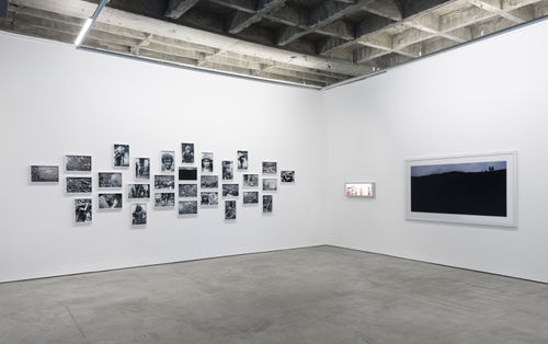 Gold in the Morning, Galeria Luisa Strina