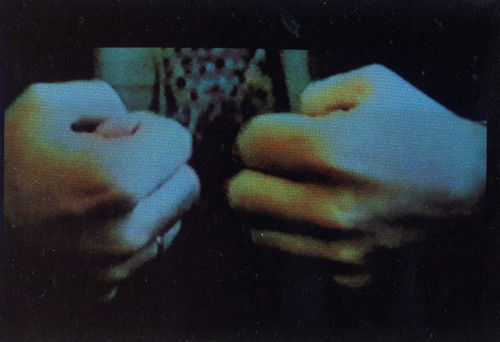 Portraits, Galeria Luisa Strina