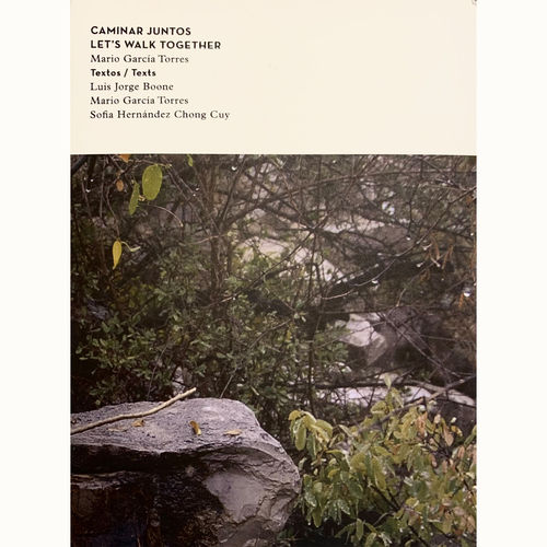 Caminar Juntos / Let's Walk Together, Mario Garcia Torres