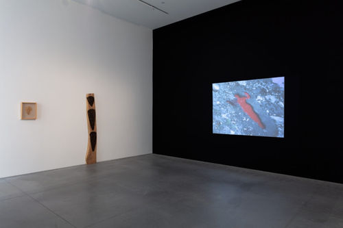 Michelle Stuart, Ana Mendieta