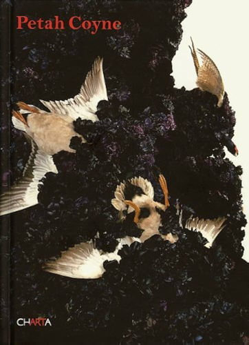 Petah Coyne: Vermilion Fog, Ann Wilson Lloyd