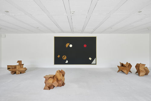 Raphaël Zarka, Galerie Mitterrand x Domaine du Muy