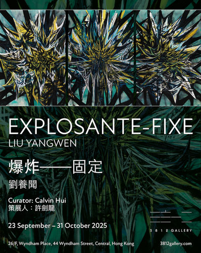 Explosante-Fixe, Liu Yangwen Solo Exhibition