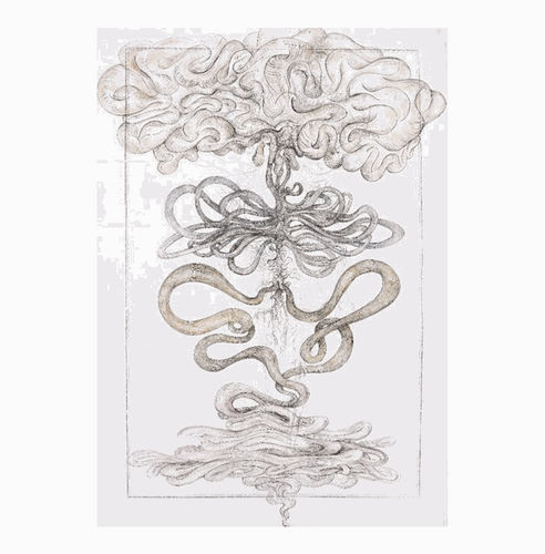 Sissi | SACRI INDICI