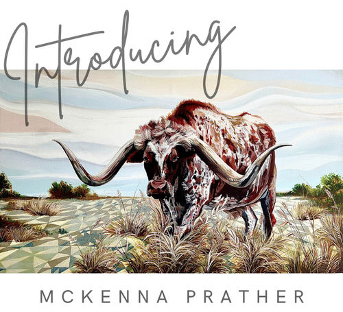 Meet The Artist, Demo & Reception