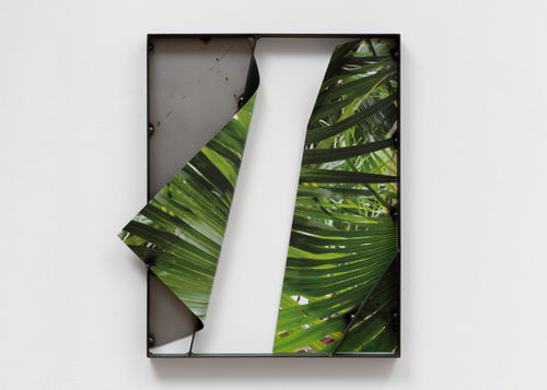 Letha Wilson | Palms Turn Back Steel, 2022