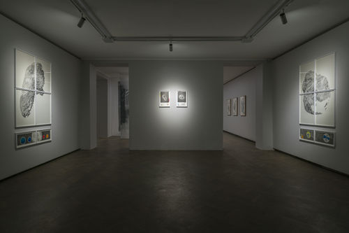 Amélie Bouvier, Where the Sun Goes to Sleep, 2021. View of the exhibition at Galeria Arsenał, Białystok. Photo: Maciej Zaniewski.