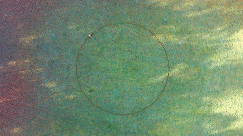 Jeroen Jongeleen, Four Seasons Total Landscaping in Two Acts, 2020