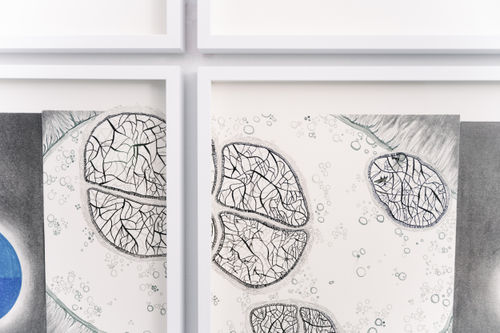 Amélie Bouvier, Potentially Hazardous Portraits #3, detail, 2021, Drawing ink, graphite, coloured pencil on paper (6 frames), 175 x 105 cm - 68 7/8 x 41 3/8 in