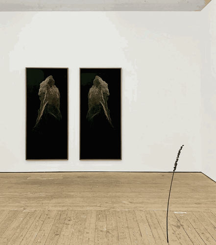 Ella Littwitz, Edith, 2022, point cloud archival pigment print, 200 x 90 cm (each). Ella Littwitz, Autonomous, 2022, bronze cast of Drimia Maritima, 106 x 11 x 3 cm. Photo: Copperfield Gallery