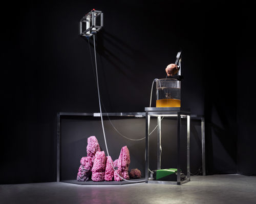 Haseeb Ahmed, Fountain of the Amazons, 2022, Loestrin contraceptive pills; EllaOne emergency contraceptive pills; water; 3D model of Fountain of Amazons based on "The Fountain of Youth” fresco, Château de la Manta, Saluzzo, Italy, 1411-1416 (artist unknown); medical model of vagina for instruction of diaphragm; Helen contraceptive pill package; 1970’s candles from Club 69; plexiglass; wood; and aluminum, 280 x 200 x 70 cm, 110 1/4 x 78 3/4 x 27 1/2 in