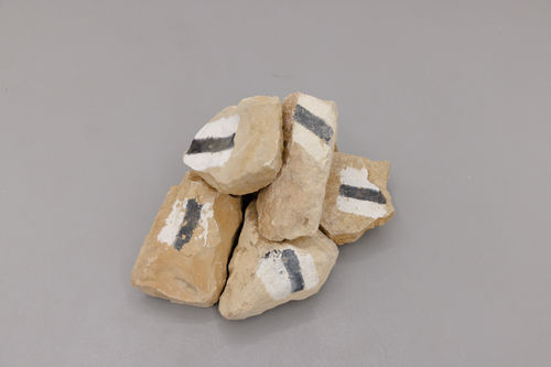 PRESS | Ella Littwitz