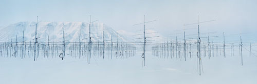 Christian Houge, "Antenna Forest 2," 2010, digital c-print, 39 3/8 x 118 1/8 inches, 1/3 plus 1 AP