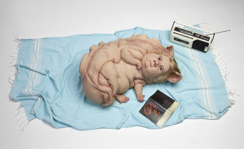 Sculpture of hybrid creature laying on blue blanket next to portable radio and book called Metamorphosis by Franz Kafka. Creature has human hands, feet, hair and skin but pig ears, a scaly curved back and other zoomorphic features.