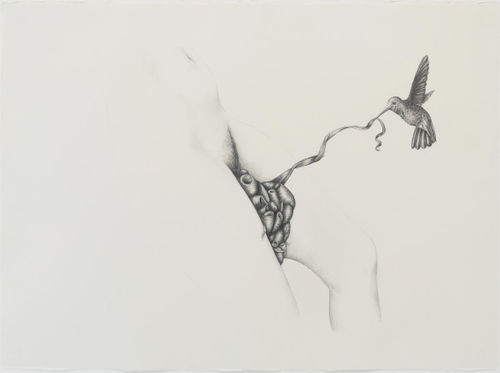 Patricia Piccinini, "Figure and Hummingbird," 2011, graphite on paper, 22 1/4 x 30 in