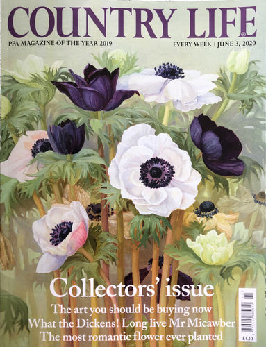 Jane Wormell painting used on Country Life Magazine cover