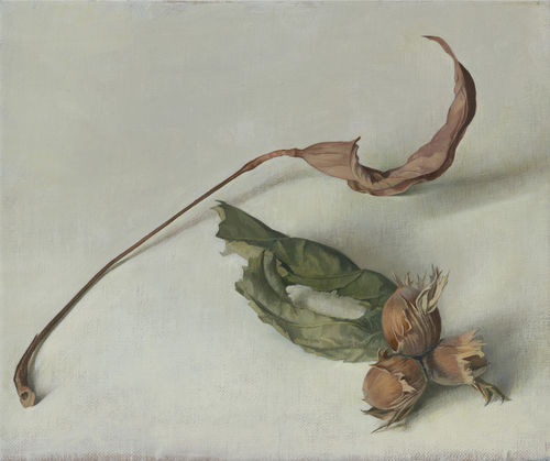 Susan Angharad Williams