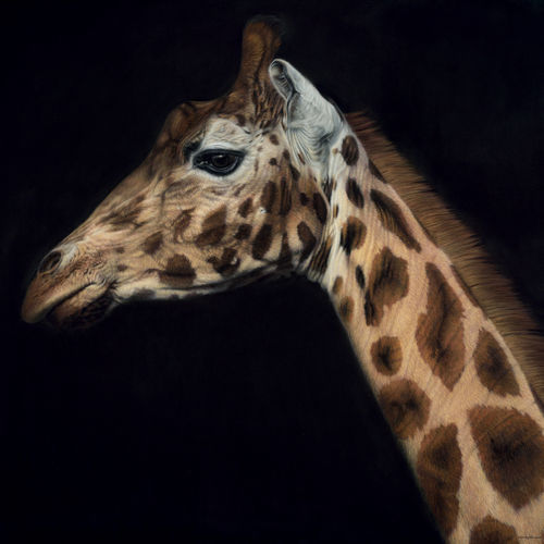 Palm Beach Jewelry, Art & Antique Show, Stand 1003