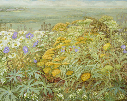 Jane Wormell, 'Summer Garden I', oil on linen, 41 x 51cm