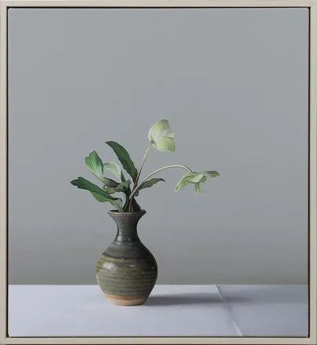 Jo Barrett: Still Lifes