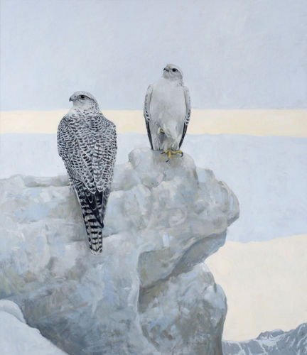 Northern Vigil - Gyrfalcons, oil on canvas, 50 x 44ins, by Ron Kingswood