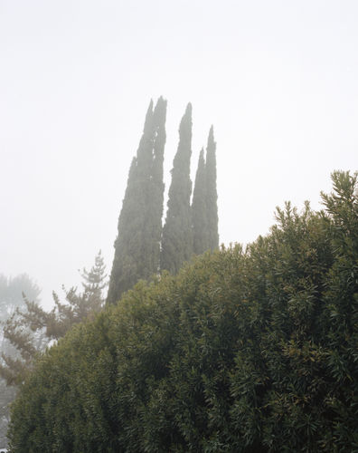 Melanie Schiff, Sun Land, Kavi Gupta | 835 W. Washington Blvd. Chicago, IL, 60607