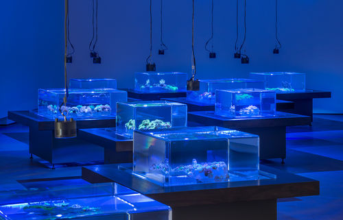 Glenn Kaino, Tanks, 2014 at Prospect 3 New Orleans