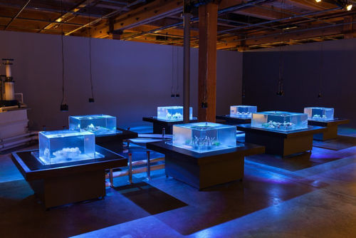 Glenn Kaino, Tank, 2014. Installation view: Prospect.3, New Orleans. Photo courtesy of Joe Rynkiewicz