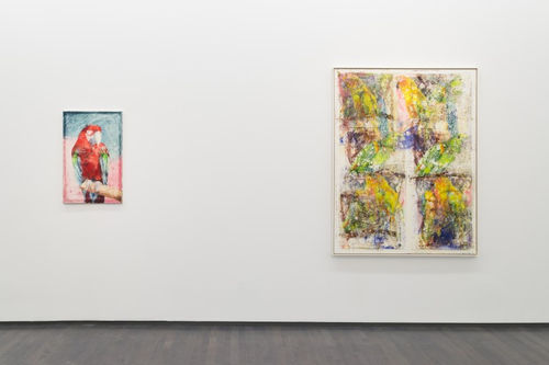 James Krone. Installation view of “An Ornithology for Birds,” 2016.