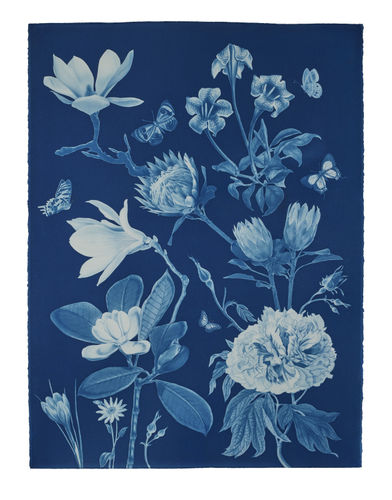 Nocturnal Nature (Magnolia, Proteus, Peony, Pollinators, etc.), 2022