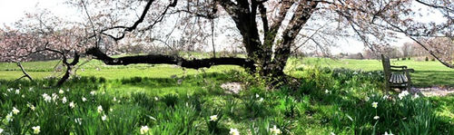 A Show of Heartfelt, Diverse Works