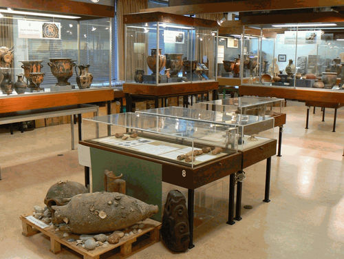 The Museum of Ancient History