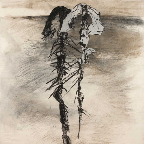 Madeline MacKay, Untitled 6, 2015