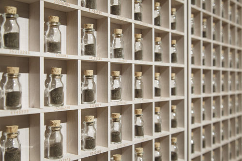 Nadia Kaabi-Linke . Tunisian Americans (Detail) . 2012