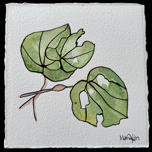 Kōwhai 1/1, 2025 Eðli water, watercolour, and “encre de chine” ink on Hahnemühle Leonardo 600gsm paper, 100% cotton, acid-free, museum-grade, resistant to ageing, natural white. The work is with handmade edging suitable for floating mounting and/or multiple works in a solid box frame. 25 x 25 cm 9.84 x 9.84 inches Signed