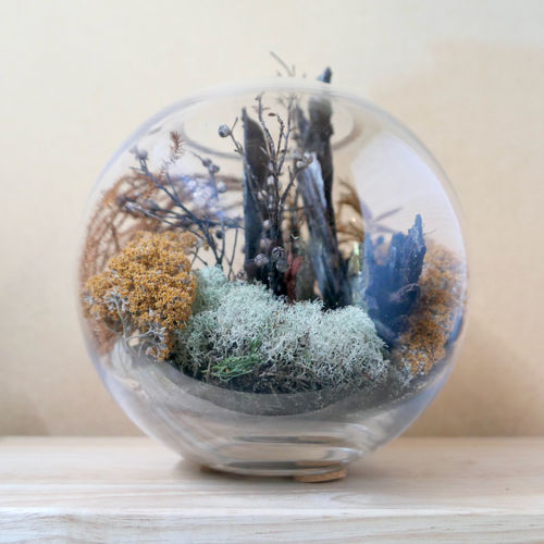 Forestscape by Mamakan, Seasons of Manuka |Autumn