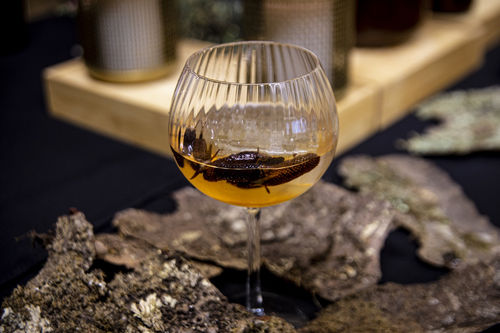 Kauri Cocktails by Mamakan