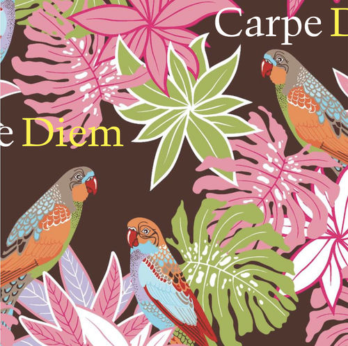 Carpe Diem Spring 2008
