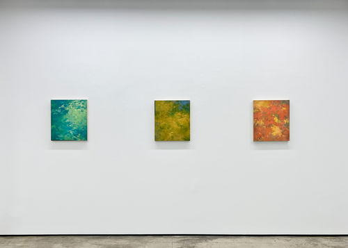 Installation view of Tamar Zinn's exhibition, "Standing in the stream."