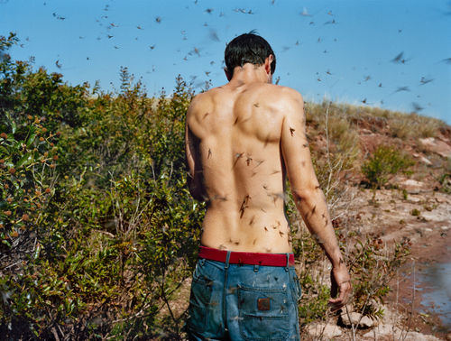 ART MARKET San Francisco , San Francisco