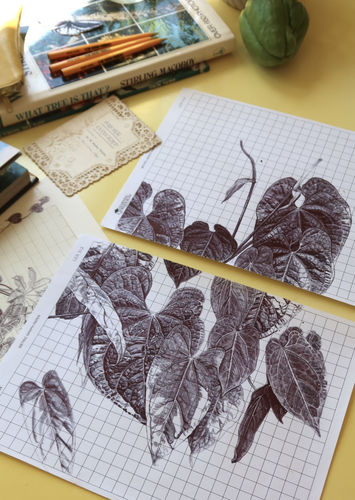 Neva Hosking: Behind the wheel, in front of the storm., N.Smith Gallery