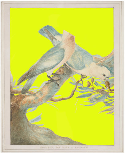 Joan Ross: I like to name everything after myself., N.Smith Gallery