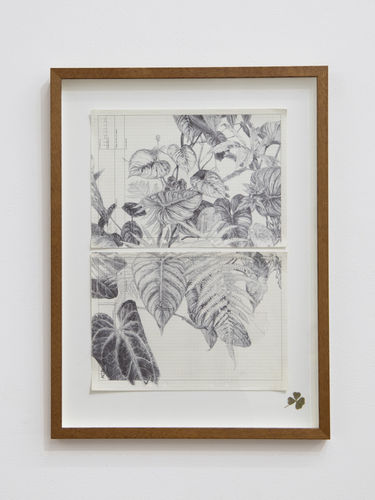 Neva Hosking: The Last Garden on Loftus Crescent., N.Smith Gallery