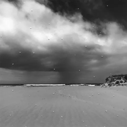 James Tylor: Nguya – The Australian Smallpox Pandemics, Monash Gallery of Art