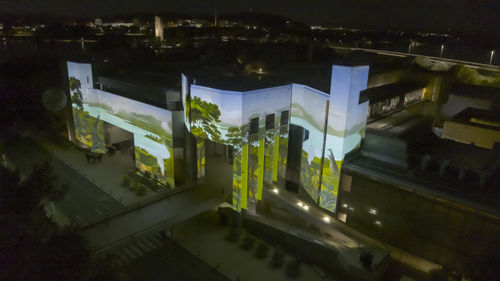Joan Ross: Collector’s Paradise, Enlighten Festival | National Gallery of Australia, Canberra