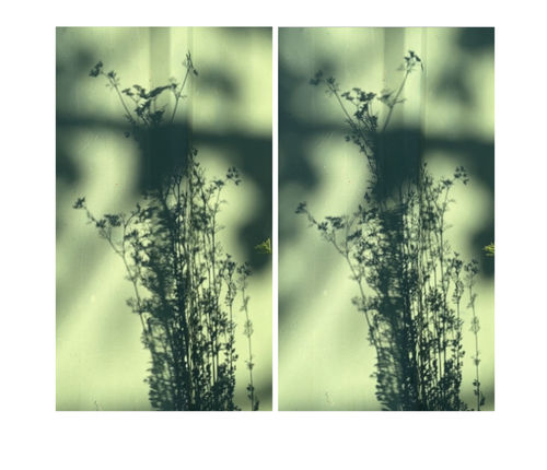 index / silt, (2018-2024), two-channel video, continuous loop (still)