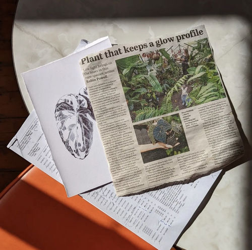 Plant that Keeps a Glow Profile