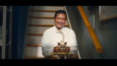 Vipoo Srivilasa re/JOY, Australian Design Centre